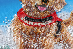 Bead Embroidery Kit Main Bead Embroidery Kit A sea of joy