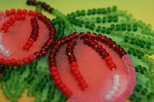 Magnets Bead Embroidery Kit Gooseberry