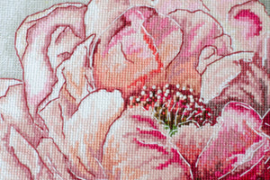 Cross Stitch Kit Cross-stitch kits Graceful beauty