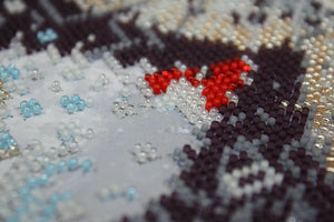 Bead Embroidery Kit Snow Lady