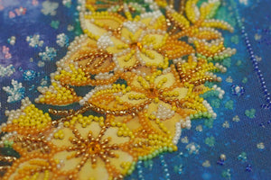 Bead Embroidery Kit Main Bead Embroidery Kit The night shone