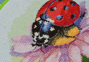 Cross Stitch Kit Cross-stitch kits Sunny Bedryk