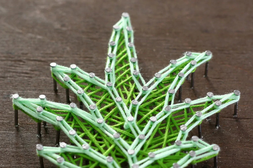 String Art Kit Creative Kit/String Art Pineapple