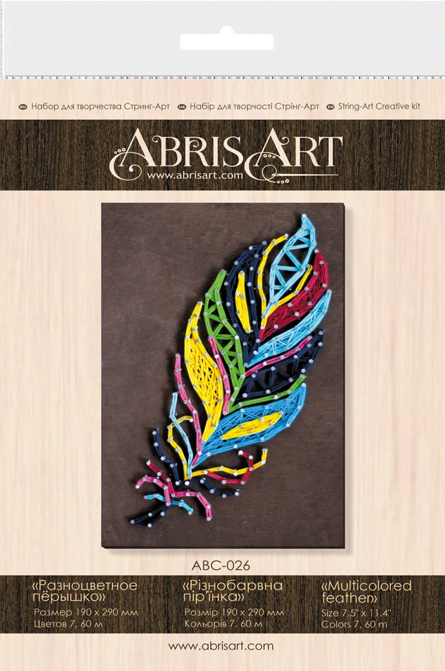 String Art Kit Creative Kit/String Art Multicolored feather