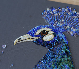 Bead Embroidery Kit Main Bead Embroidery Kit Magical wonder bird