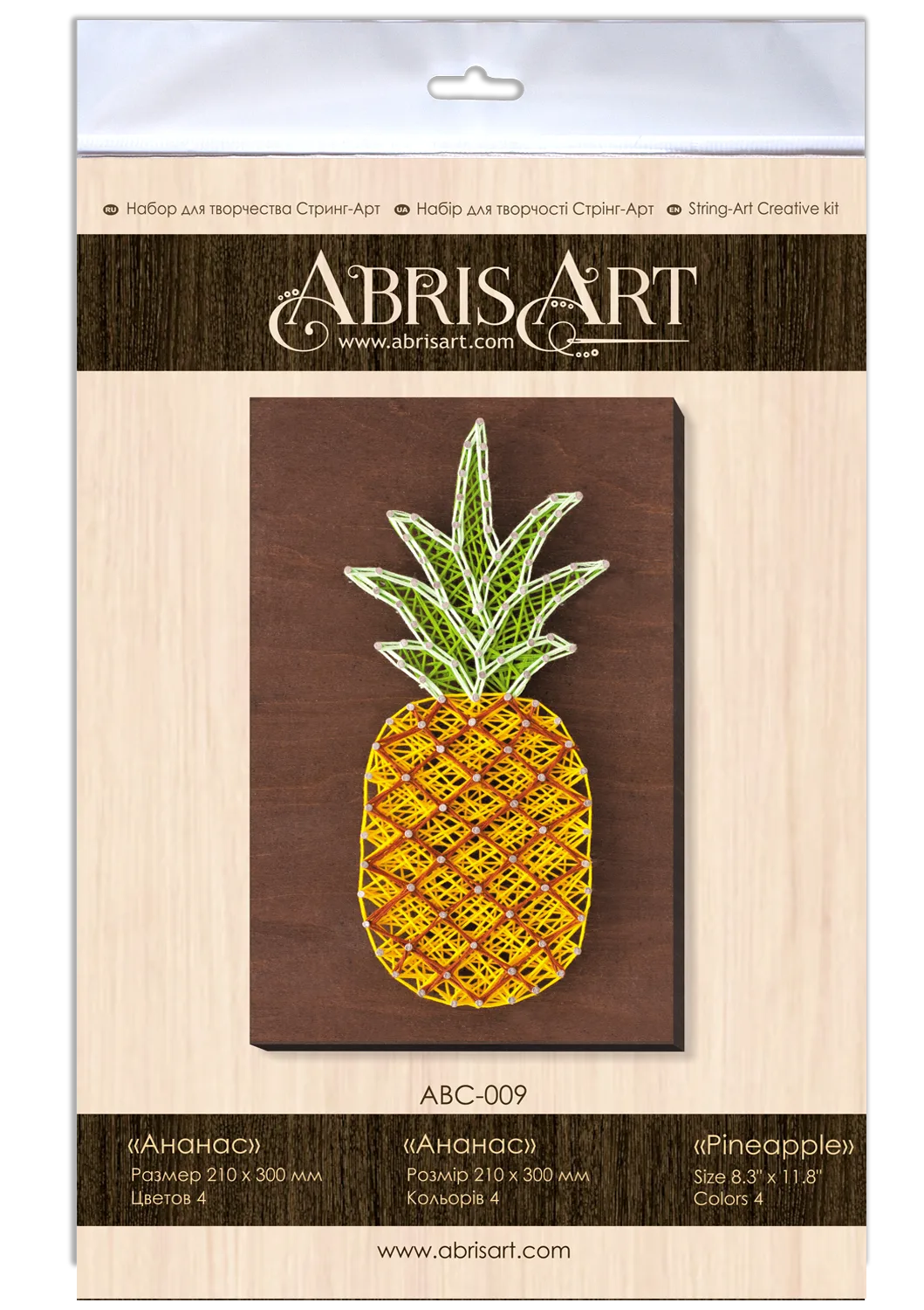 String Art Kit Creative Kit/String Art Pineapple