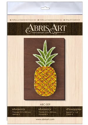 String Art Kit Creative Kit/String Art Pineapple